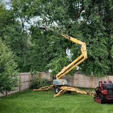 Best Lawn Watering Services  in Chariton, IA