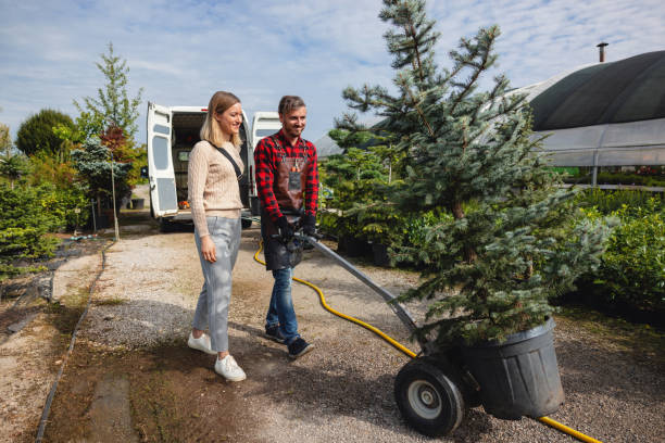 Best Leaf Removal  in Chariton, IA